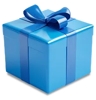 Mystery Gift